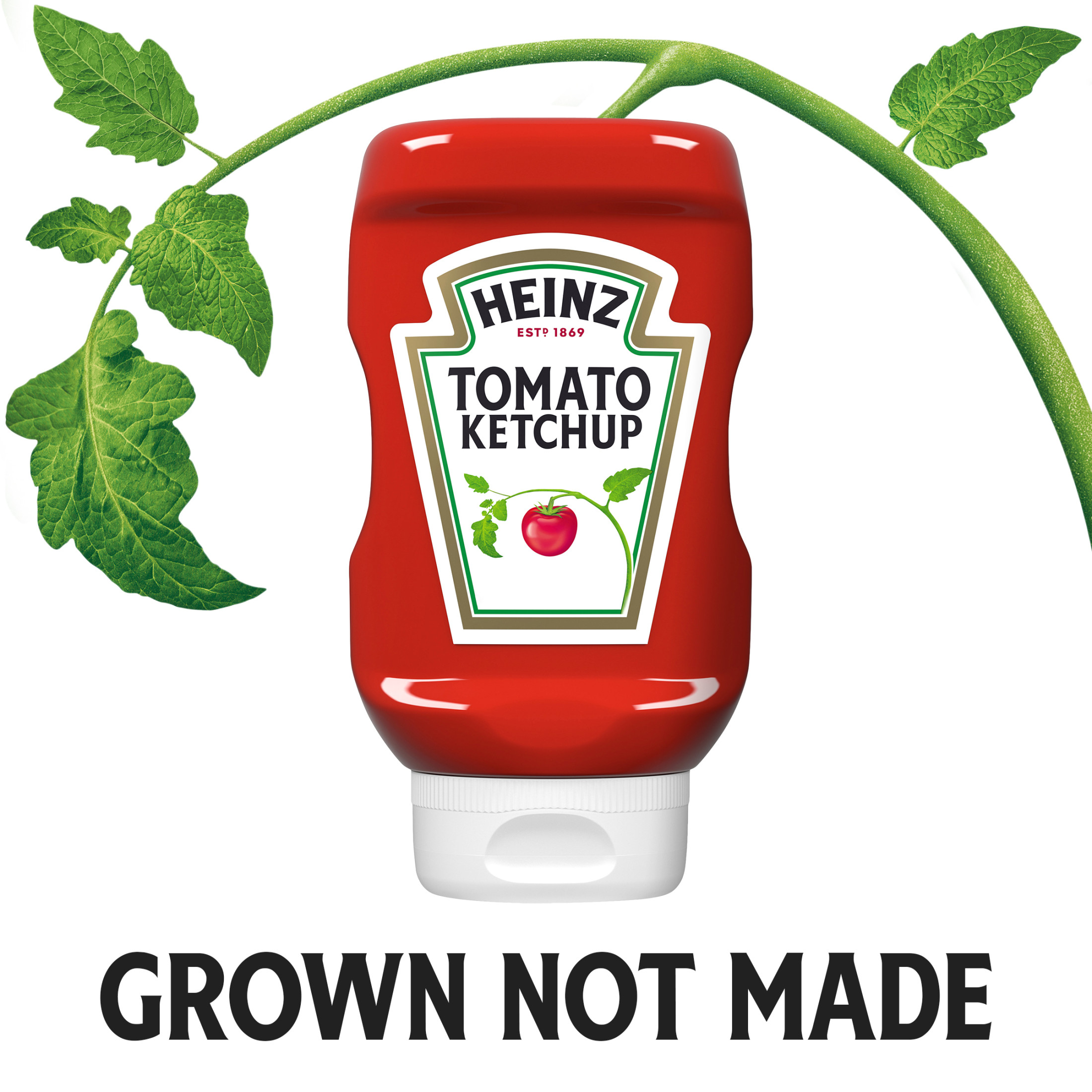 Heinz Tomato Ketchup, 14 oz Bottle thumbnail 4