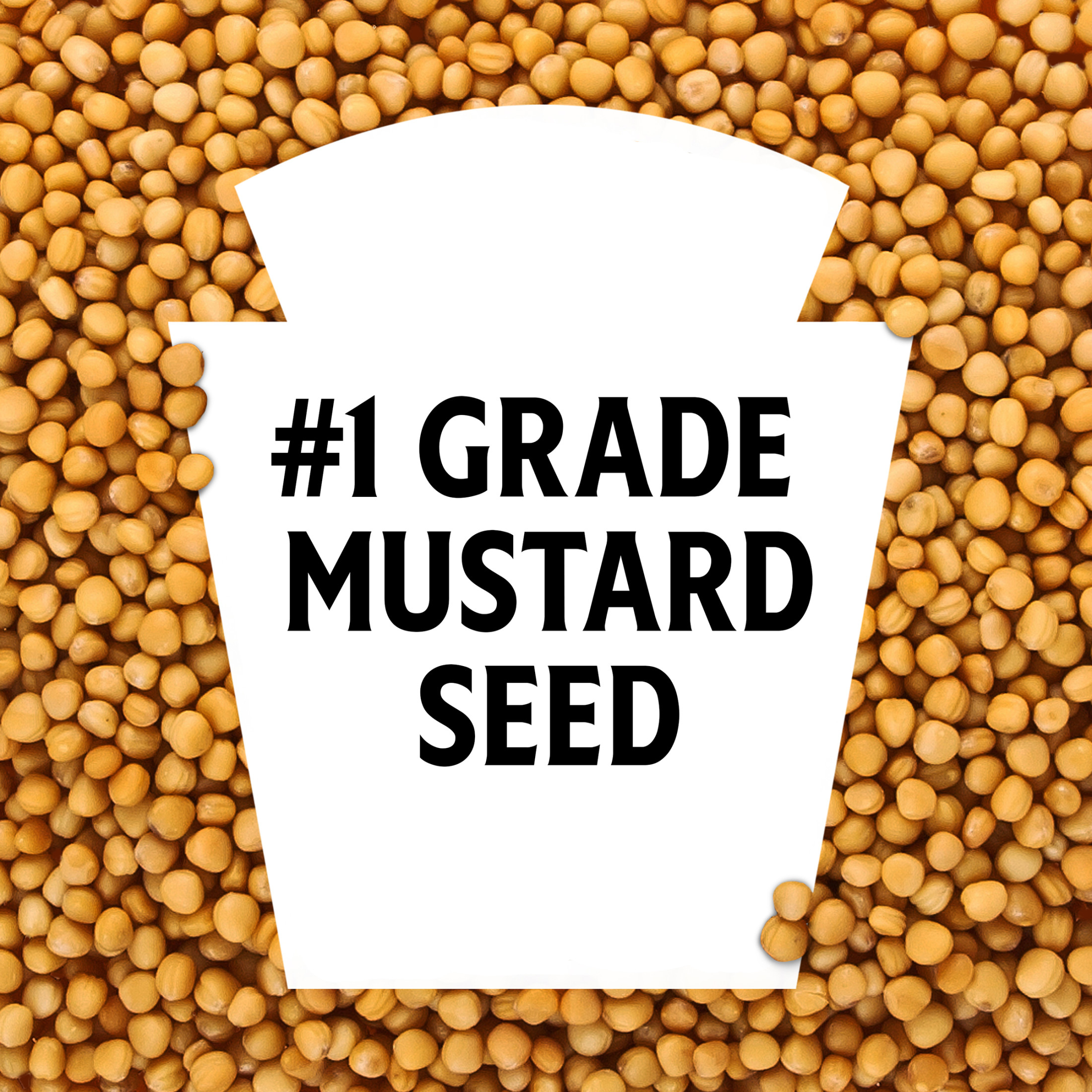 Heinz Yellow Mustard, 20 oz Bottle thumbnail 2