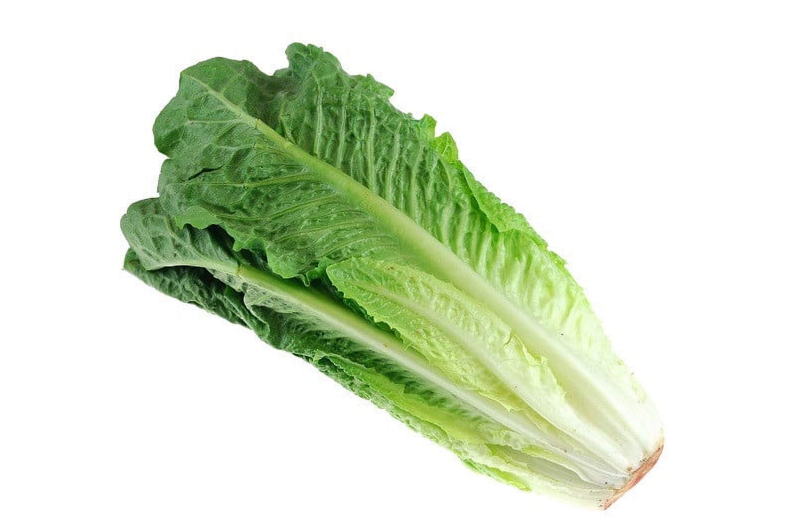 Fresh Romaine Lettuce Hearts 3 Count, Each thumbnail 2