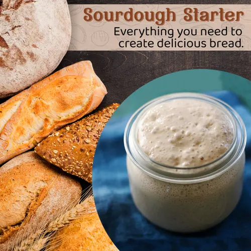 Living Dough - Live Sourdough Starter Culture - 233 Year Old San Francisco Starter Culture thumbnail 2
