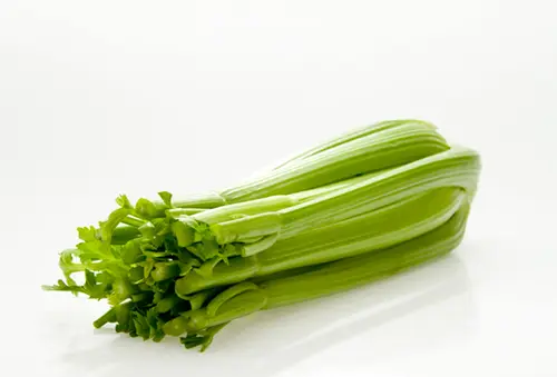 Fresh Celery Stalk, Each thumbnail 2