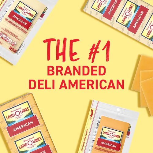 Land O Lakes Refrigerated Yellow Deli American Cheese Product, Sliced to Order (Fresh, Plastic Bag) thumbnail 3