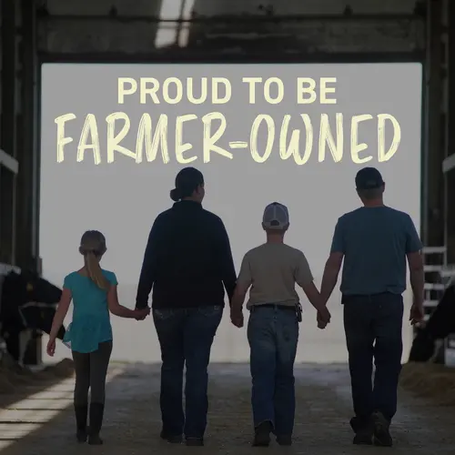 Land O Lakes Refrigerated Yellow Deli American Cheese Product, Sliced to Order (Fresh, Plastic Bag) thumbnail 4