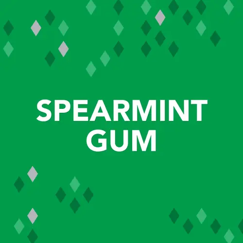 Orbit Gum Spearmint Sugar Free Chewing Gum, Single Pack - 14 Piece thumbnail 4