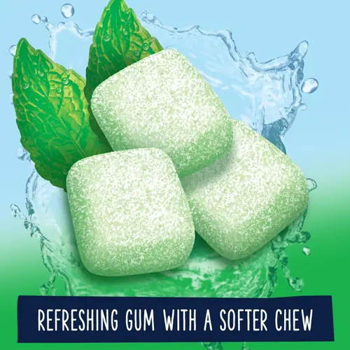 Extra Refreshers Spearmint Sugar Free Chewing Gum - 40 Pieces Bottle thumbnail 3