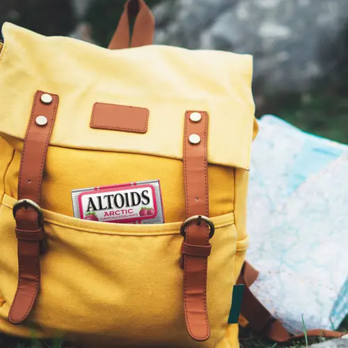 ALTOIDS Arctic Strawberry Sugar Free Breath Mints, 1.2 oz. (Pack of 8) thumbnail 4