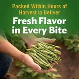 Del Monte Fresh Cut Green Beans, Canned Vegetables, 14.5 oz Can (Pack of 4) thumbnail 4