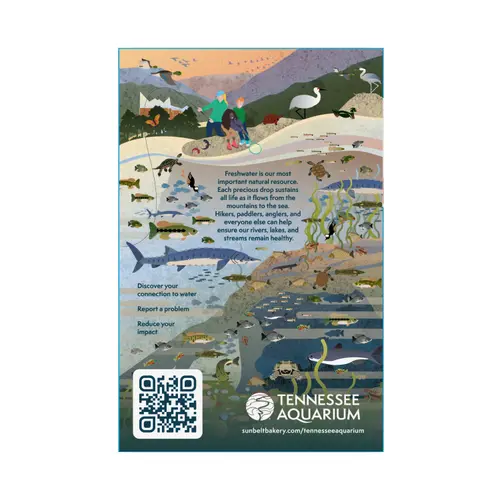 Sunbelt Bakery Chewy Granola Bars, Chocolate Chip, 15 Ct thumbnail 4