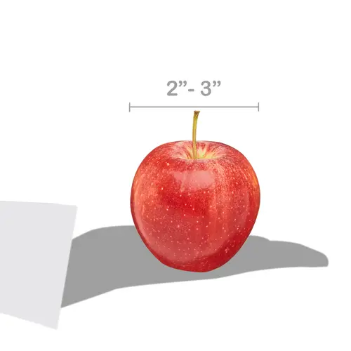 Fresh Gala Apple, Each thumbnail 3