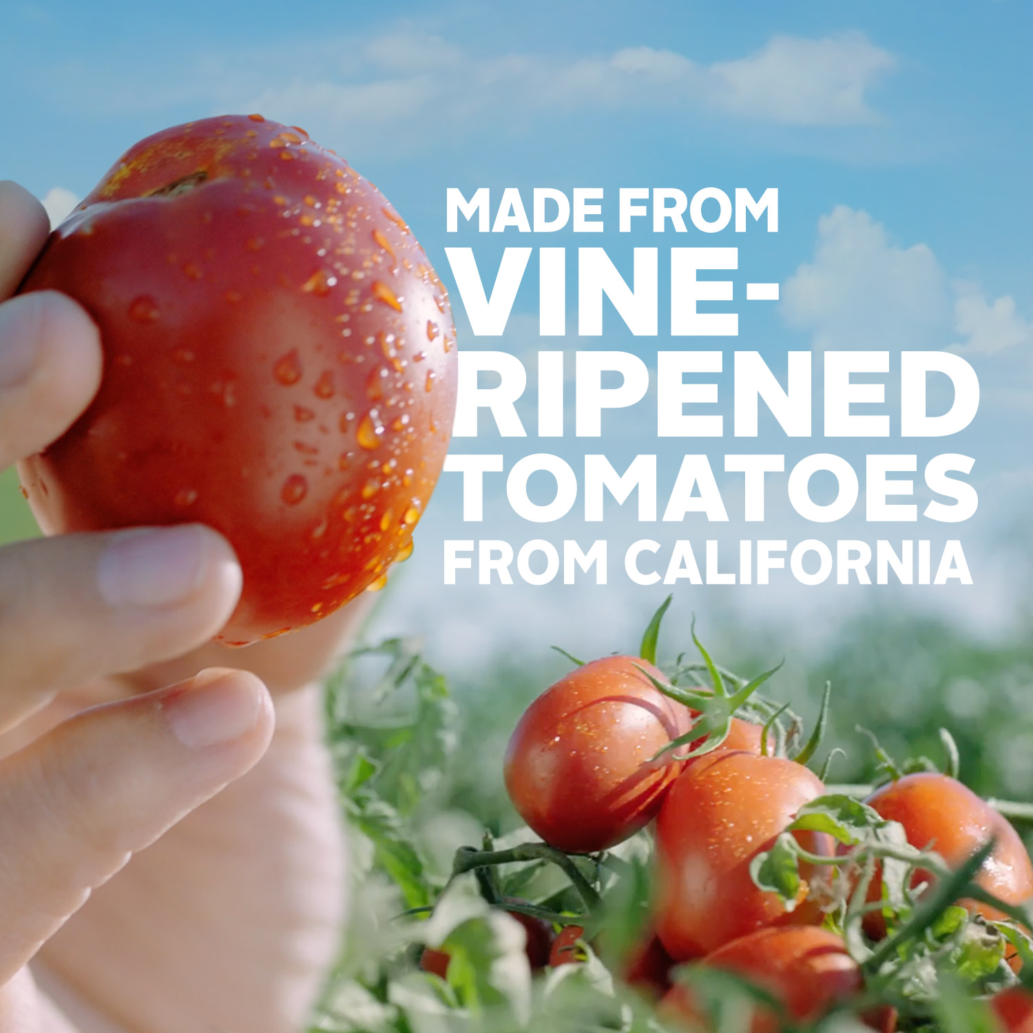 Huntâ€™s Tomato Paste, 6 oz Can thumbnail 4