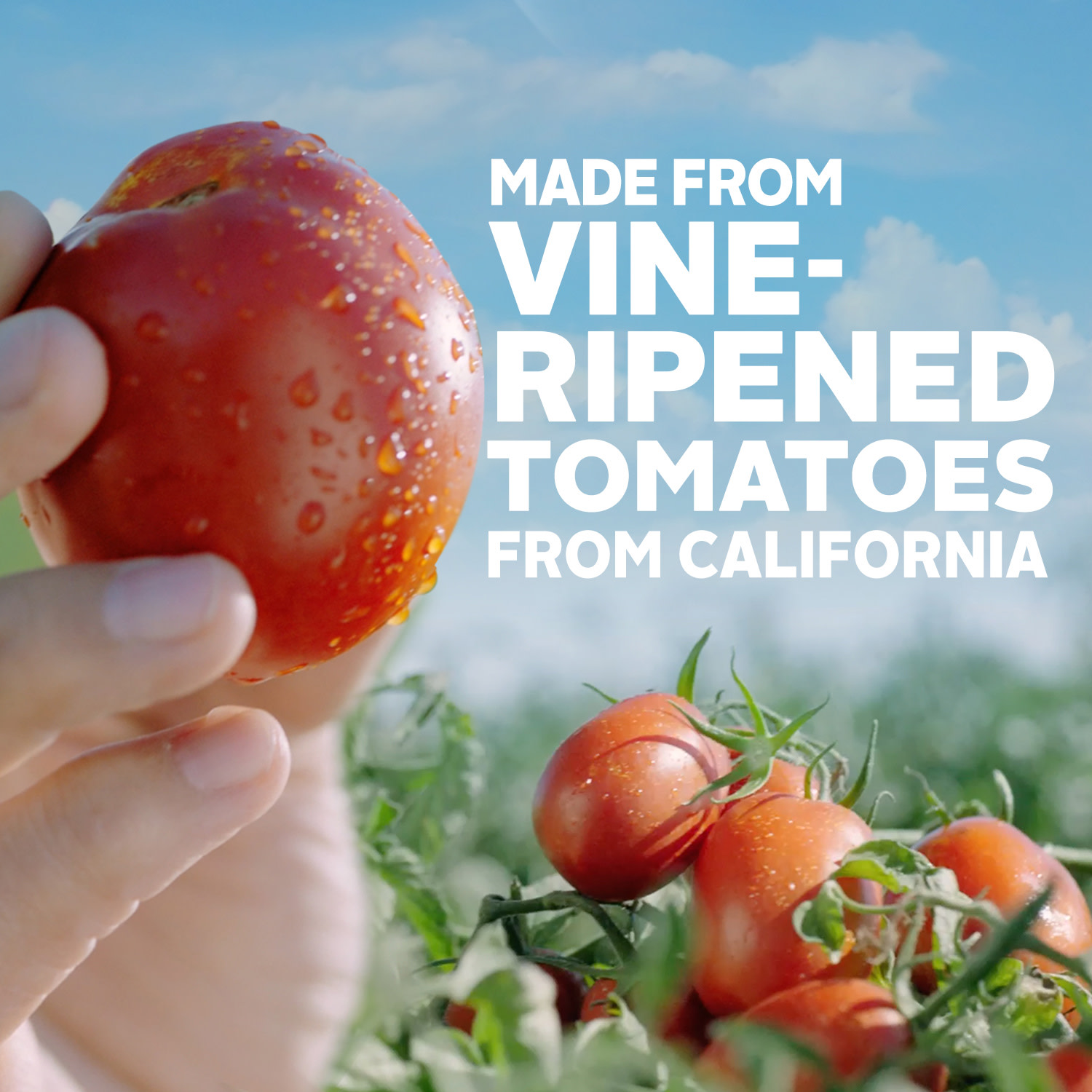 Hunt's Meat Pasta Sauce, 24 oz Can thumbnail 3