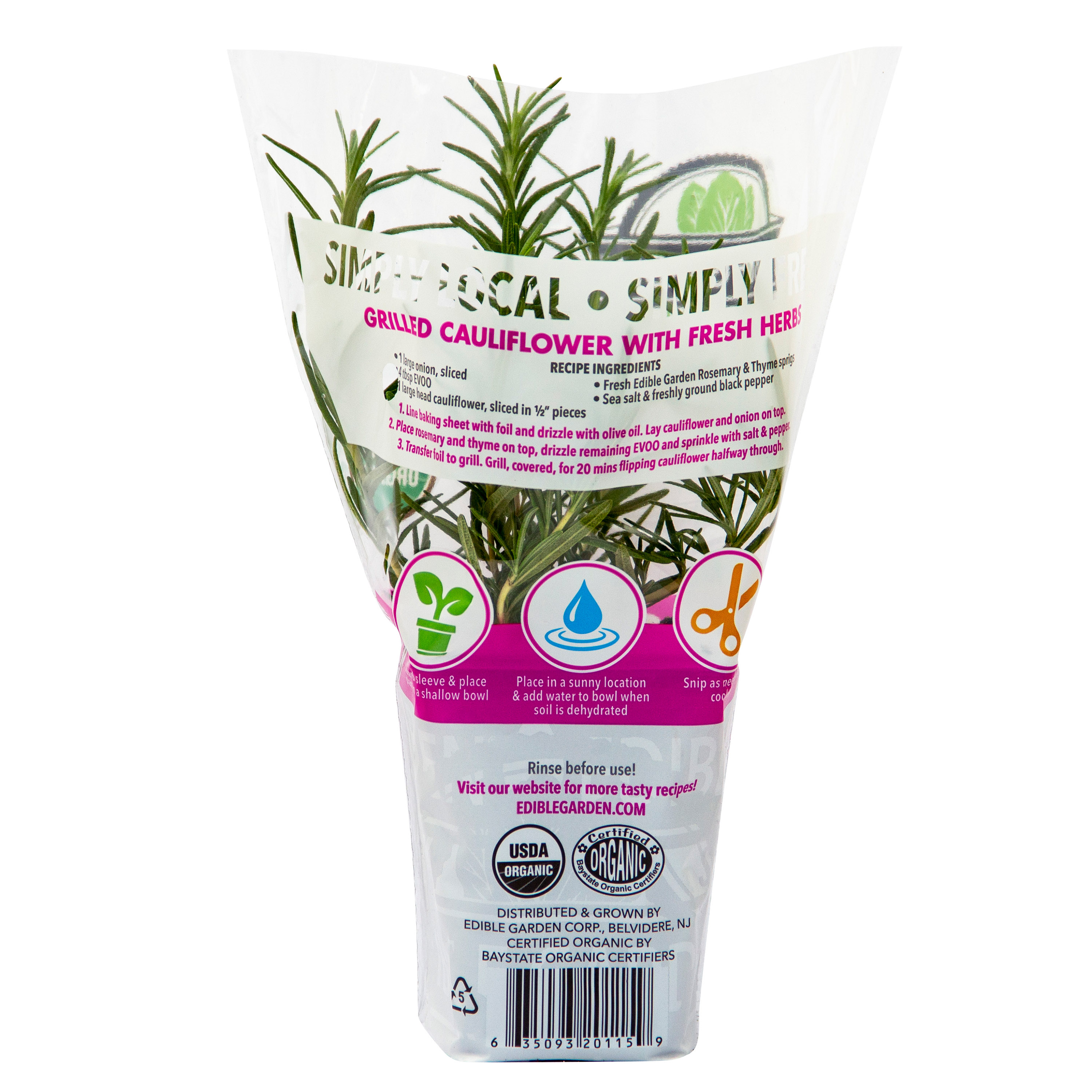 Sprout House Potted Rosemary Herb Plant thumbnail 2