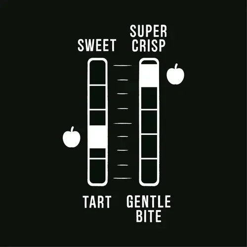 Fresh Honeycrisp Apples, 3 lb Bag thumbnail 4