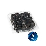 Fresh Field Packed Blackberries, 6 oz Container