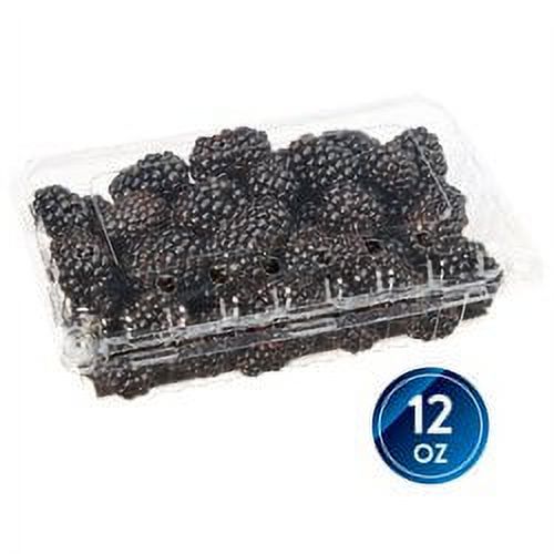 Fresh Field Packed  Blackberries, 12 oz Container