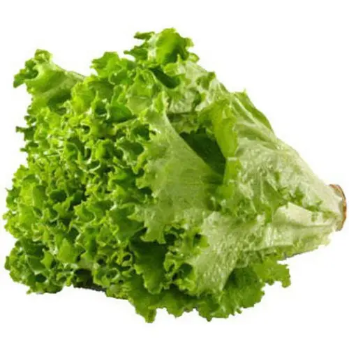 Fresh Green Leaf Lettuce, Each thumbnail 2