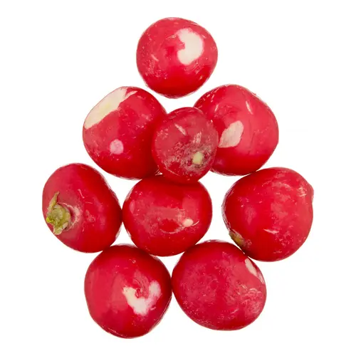 Fresh Bagged Radish, Each thumbnail 2