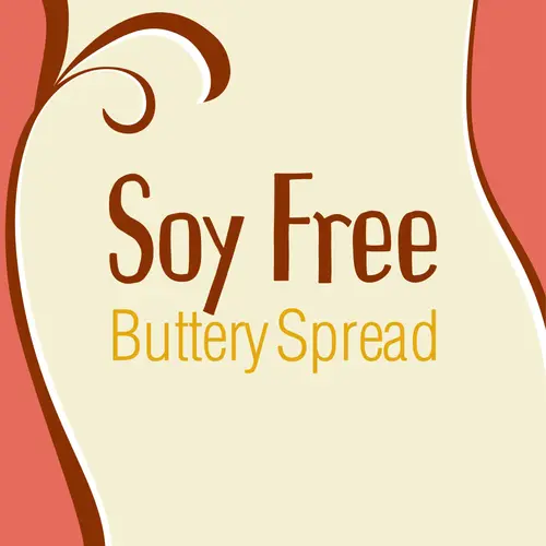 Earth Balance Butter Spread, 15 oz, Slow Churned, Soy Free, Regular Size Plastic Tub thumbnail 2