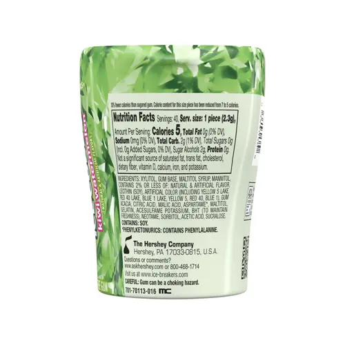Ice Breakers Ice Cubes Kiwi Watermelon Sugar Free Chewing Gum, Bottle 3.24 oz, 40 Pieces thumbnail 3