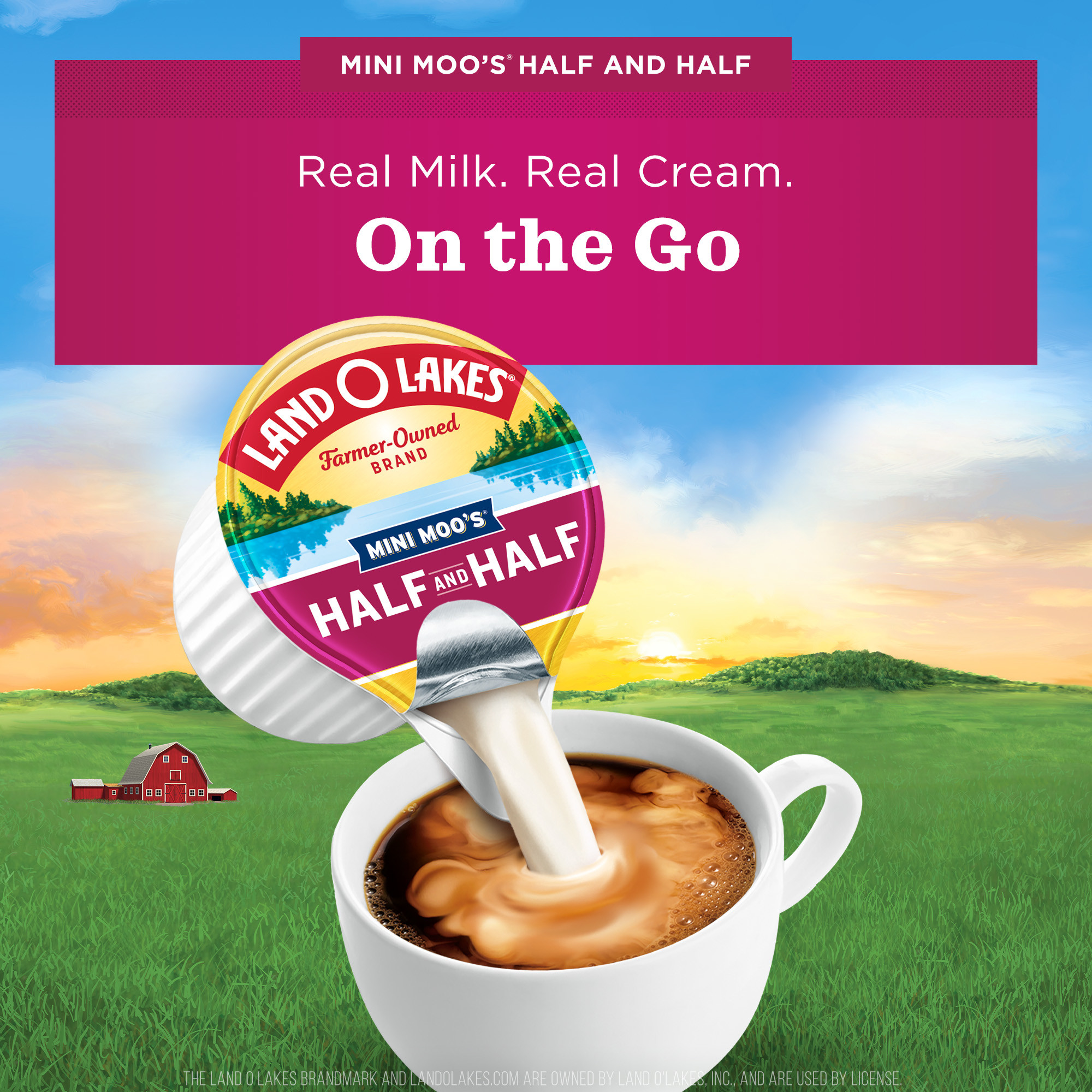 Land O Lakes Mini Mooâ€™s Half And Half Creamer Singles, 24 Count thumbnail 2