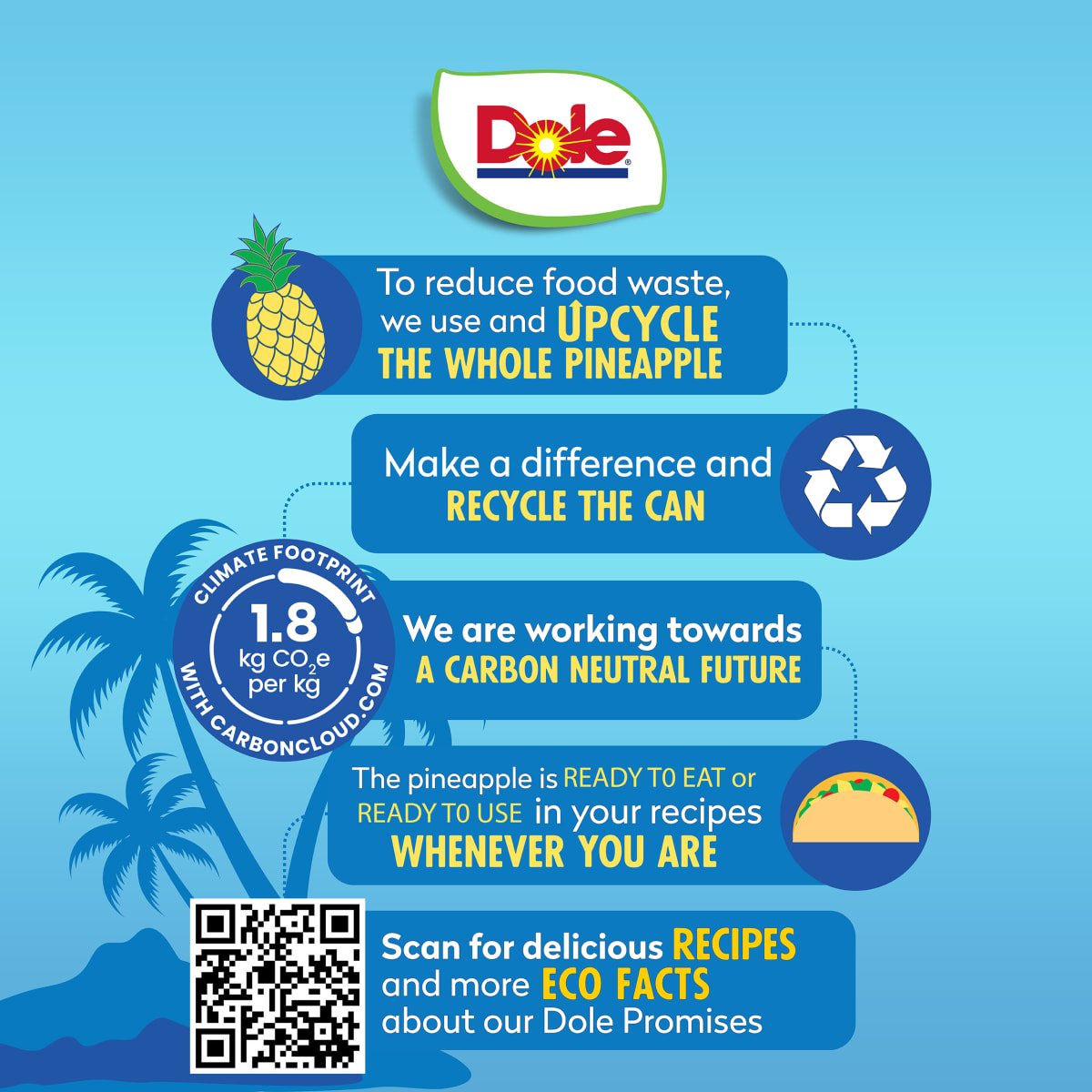 Dole Pineapple Chunks in 100% Pineapple Juice, 20 oz Can thumbnail 4