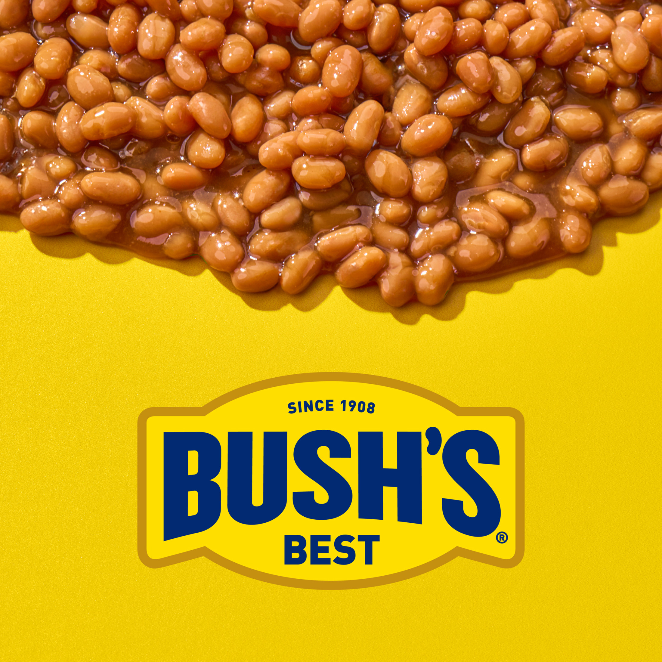 Bush's Original Baked Beans, Canned Beans, 16 oz Can thumbnail 2