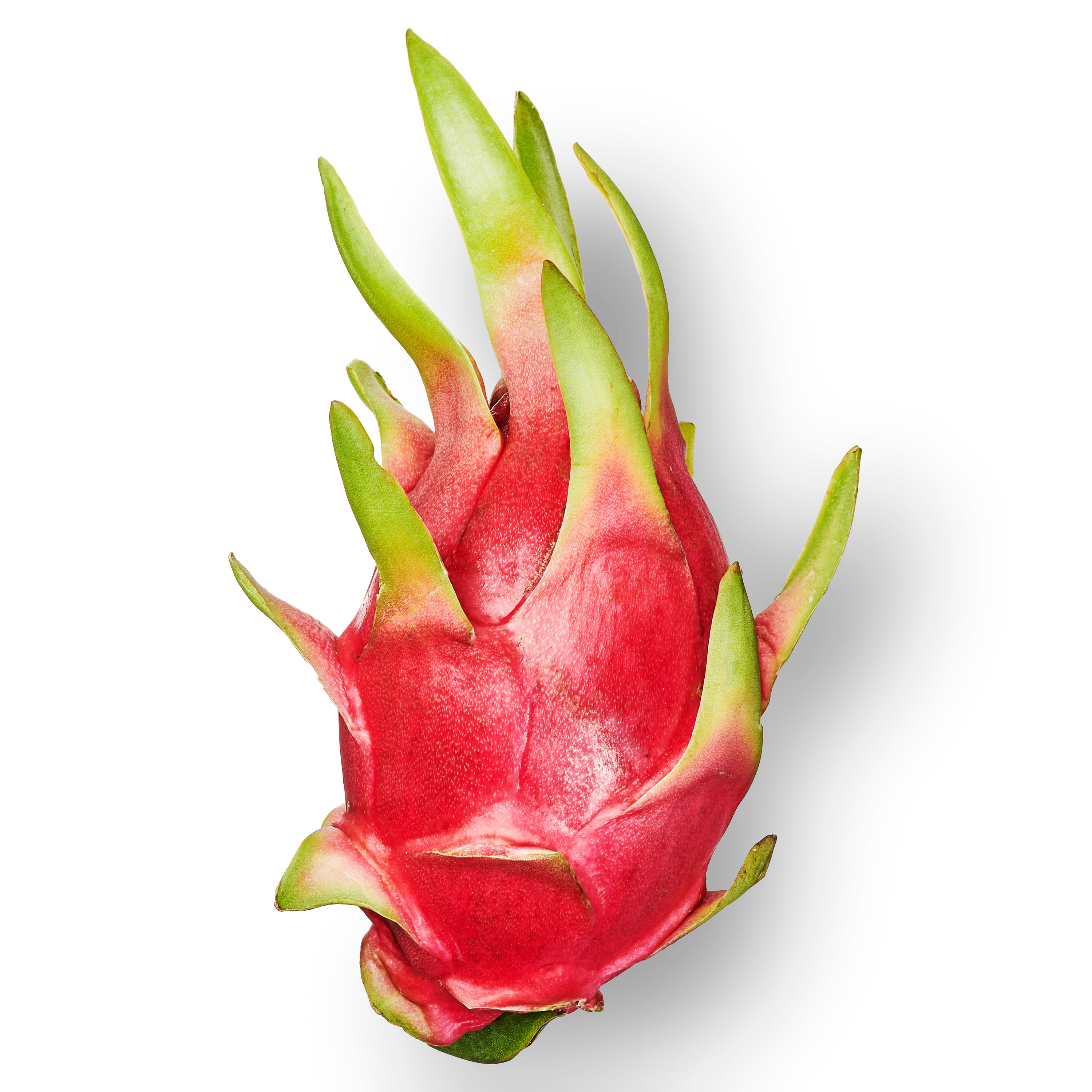 Fresh Dragon Fruit, Each thumbnail 3