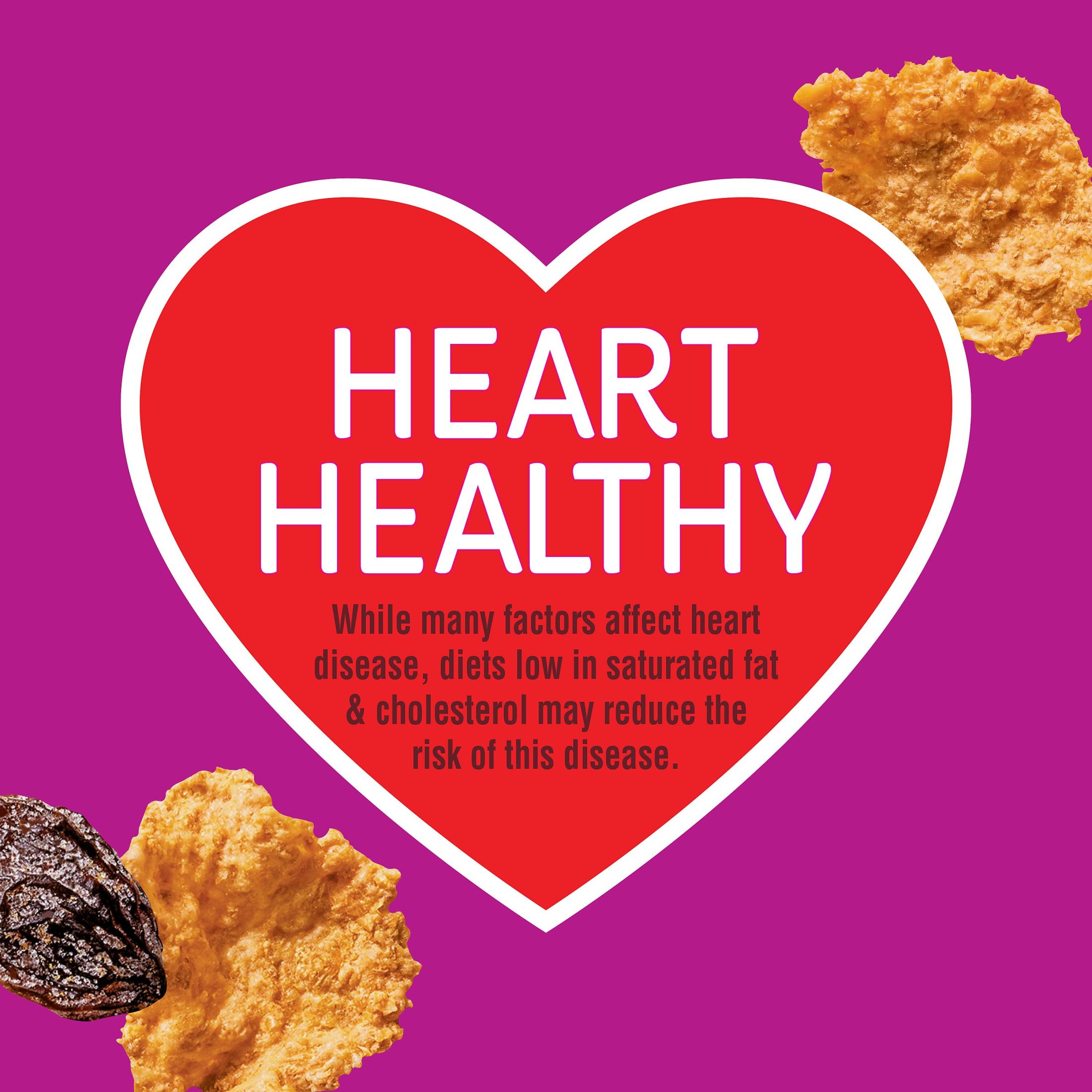 (10 pack) Kellogg's Raisin Bran Breakfast Cereal, Fiber Cereal, Family Breakfast, Original, 16.1oz Box (1 Box) thumbnail 3