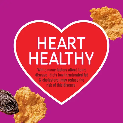 (10 pack) Kellogg's Raisin Bran Breakfast Cereal, Fiber Cereal, Family Breakfast, Original, 16.1oz Box (1 Box) thumbnail 3