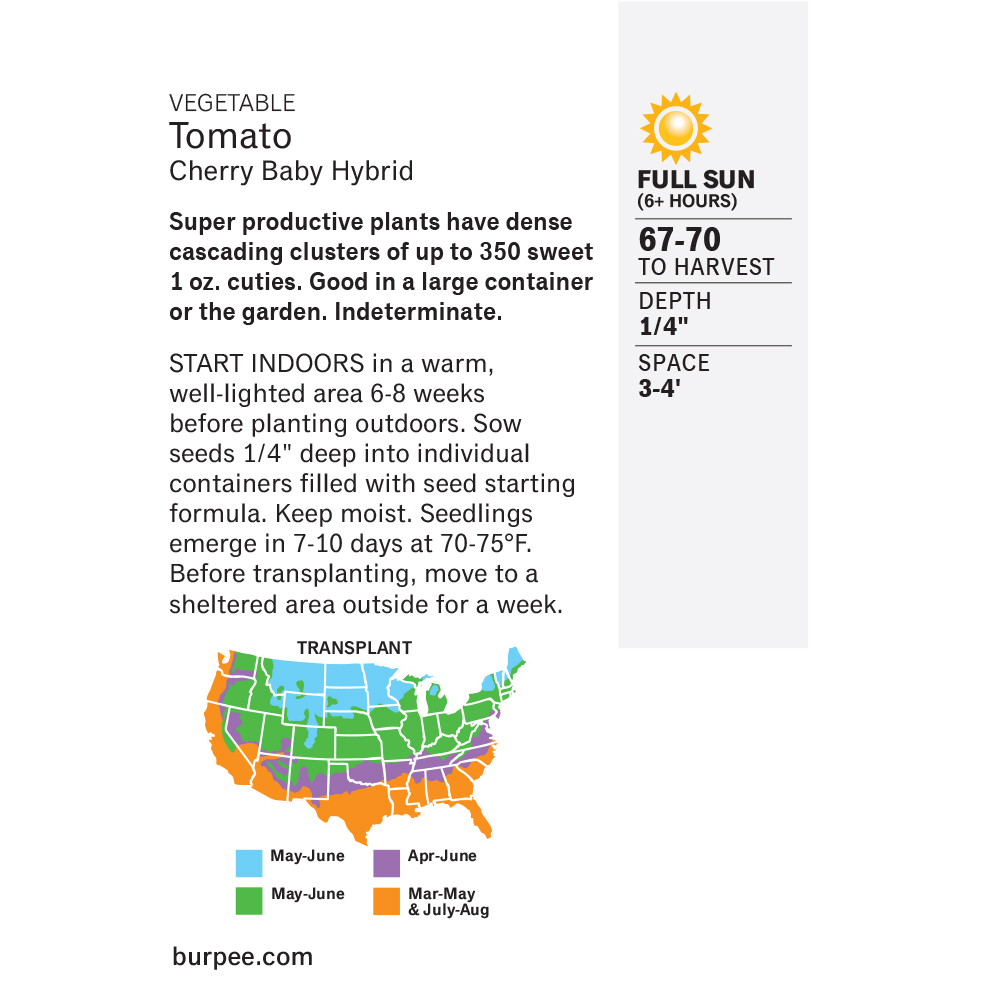 Burpee Cherry Baby Tomato Vegetable Seed, 1-pack thumbnail 4