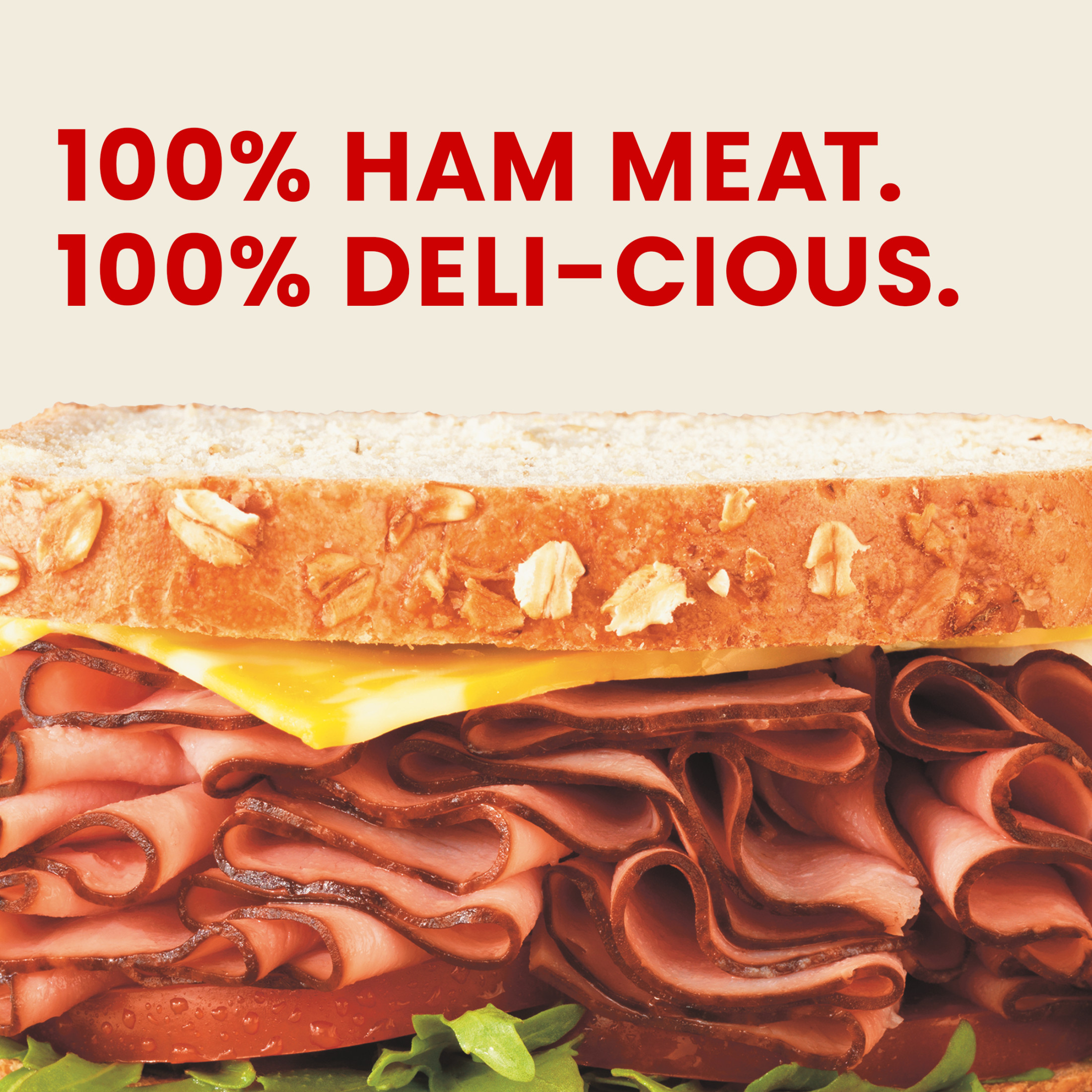 Hillshire Farm Ultra Thin Sliced Black Forest Ham Deli Lunch Meat, 22 oz Plastic Tub thumbnail 3