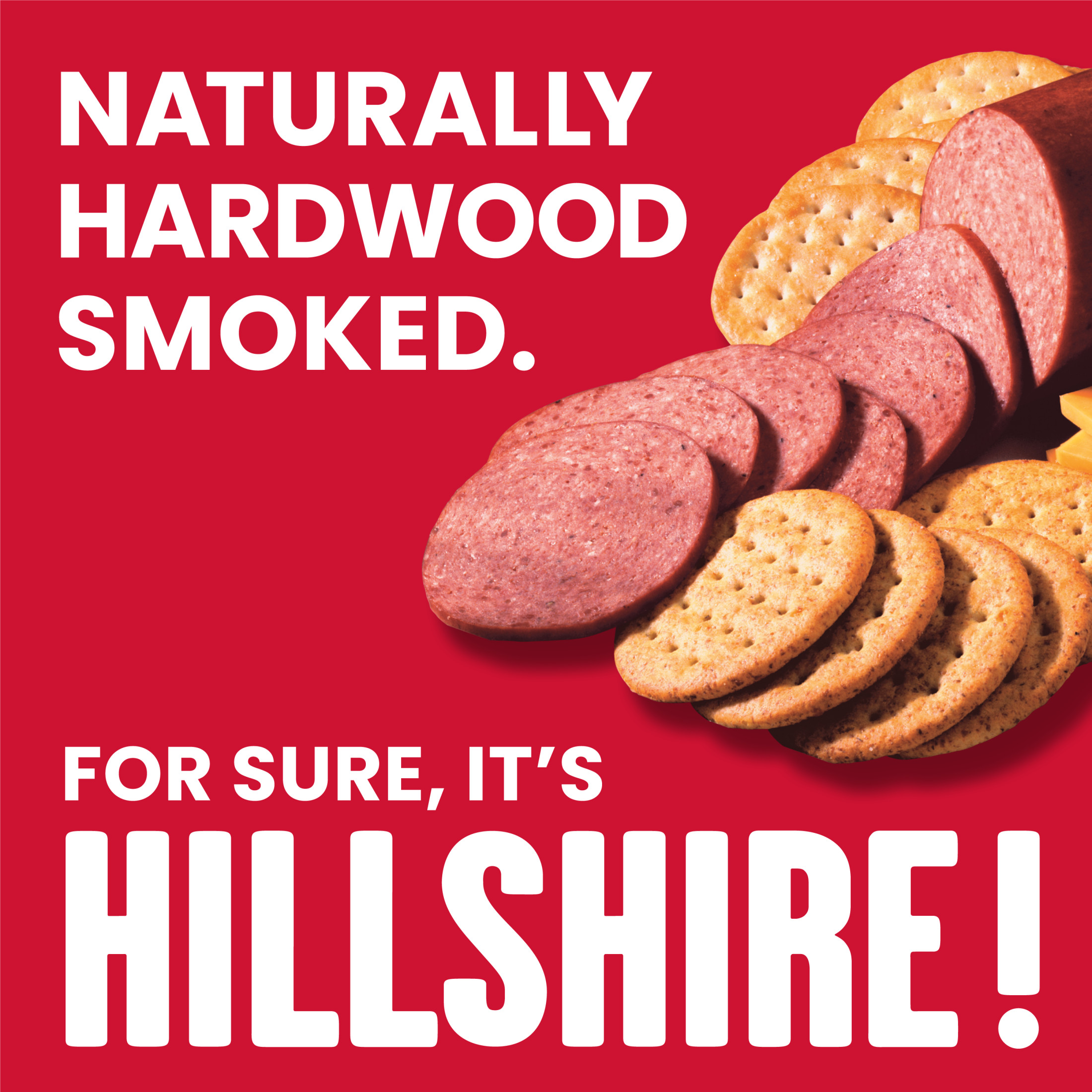 Hillshire Farm Hardwood Smoked Summer Sausage, 20 oz thumbnail 2