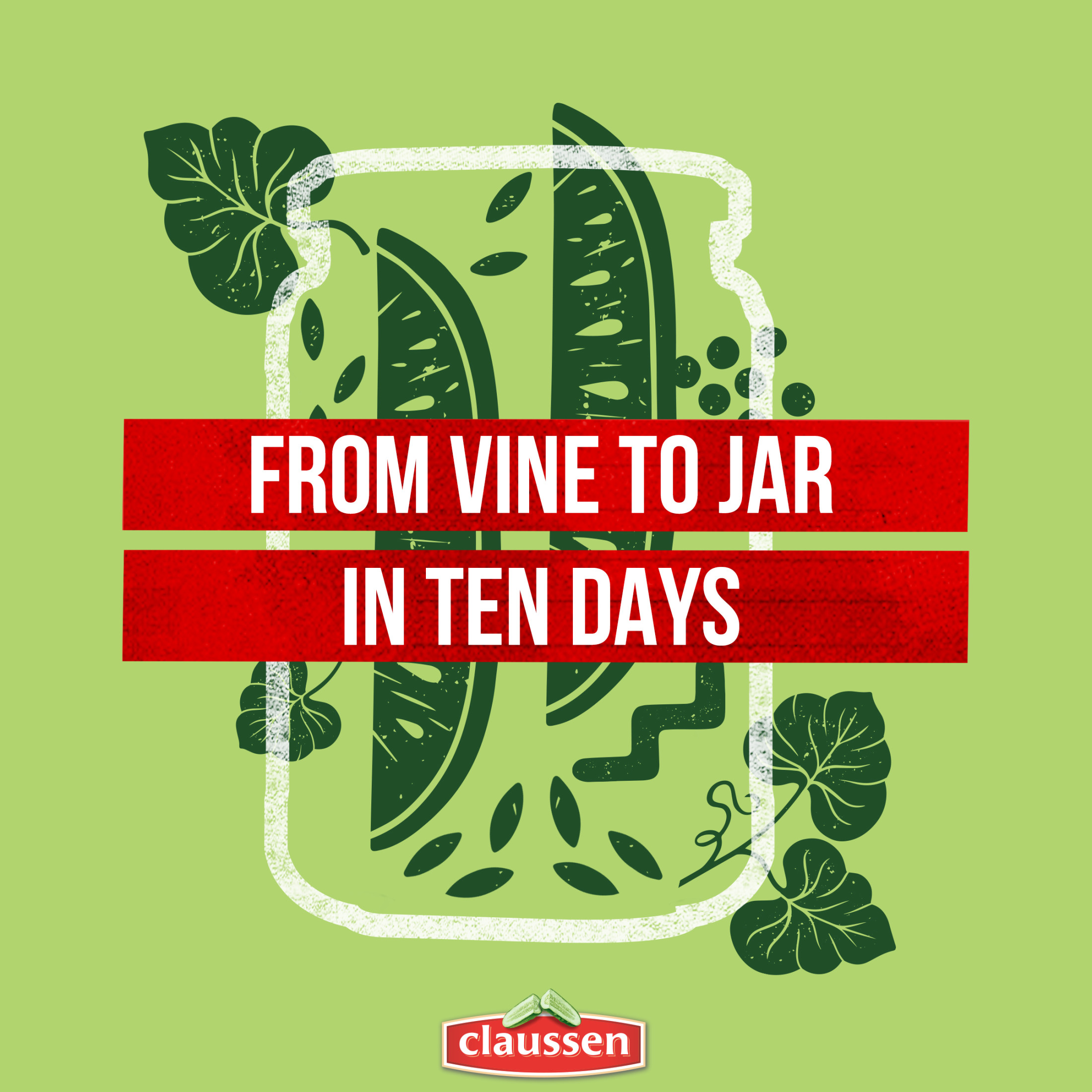 Claussen Deli-Style Kosher Dill Pickle Spears, 64 fl. oz. Jar thumbnail 4