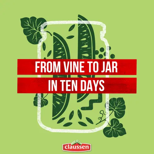 Claussen Deli-Style Kosher Dill Pickle Spears, 64 fl. oz. Jar thumbnail 4