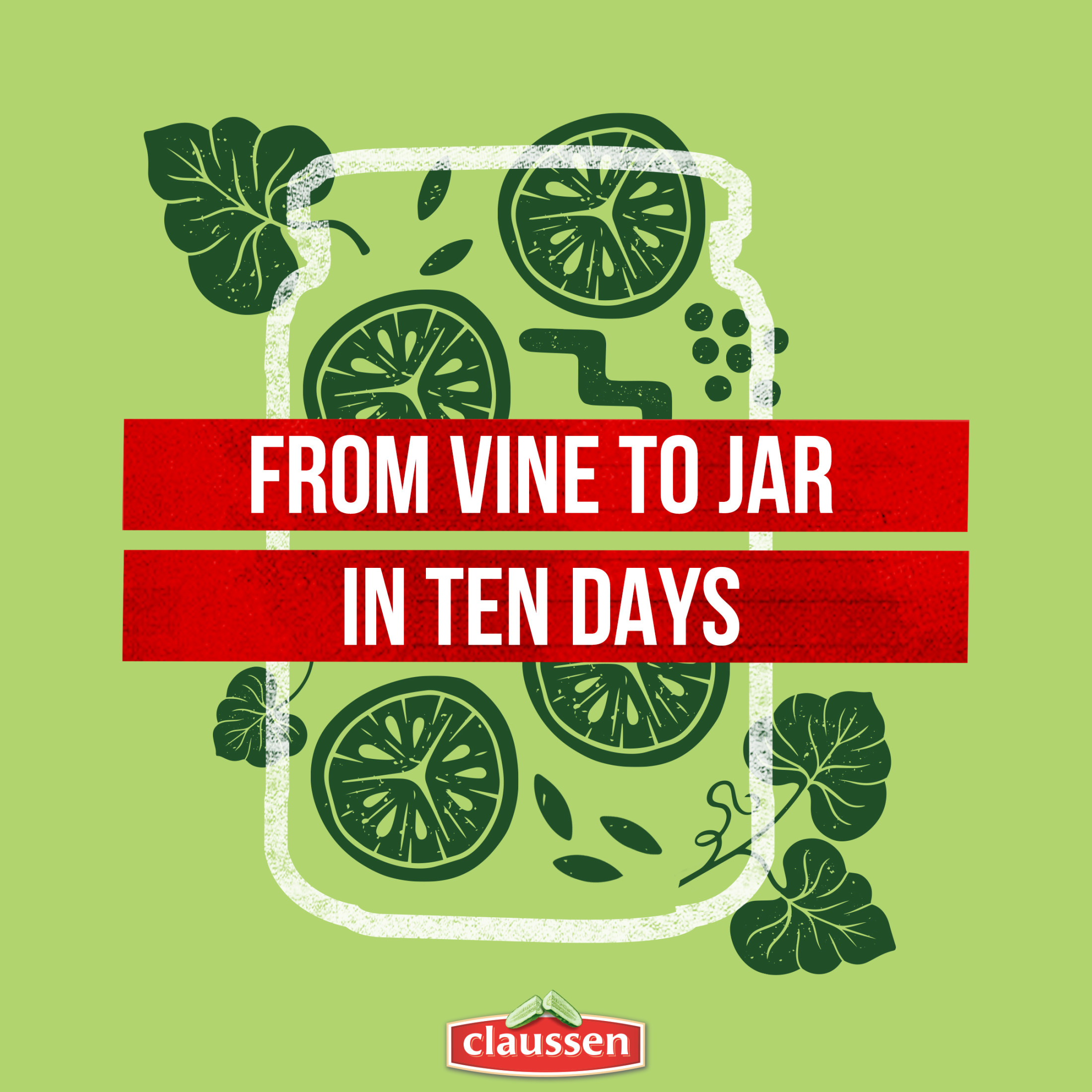 Claussen Kosher Dill Pickle Chips, 20 fl. oz. Jar thumbnail 4