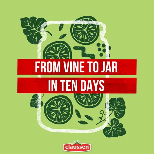 Claussen Kosher Dill Pickle Chips, 20 fl. oz. Jar thumbnail 4