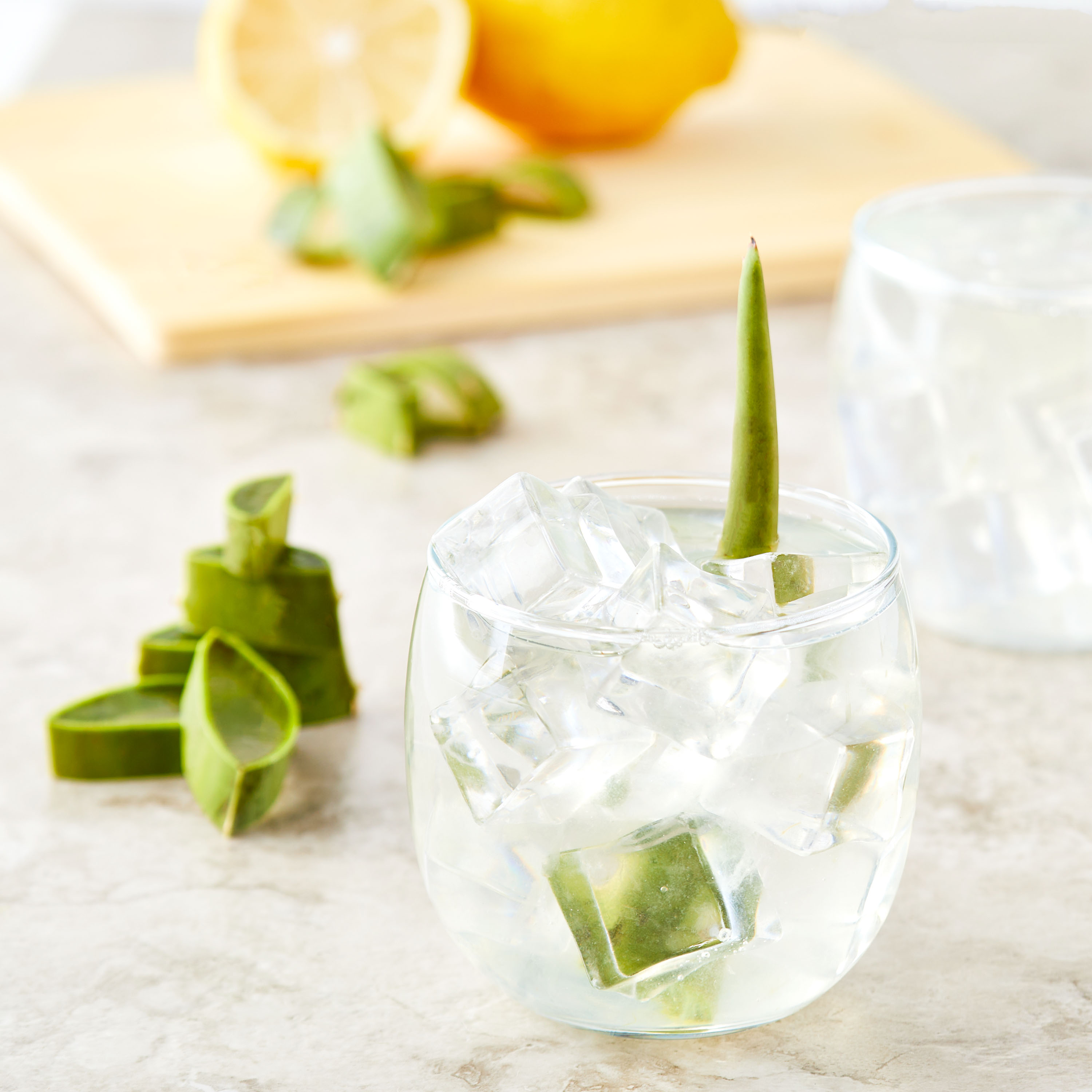 Fresh Aloe Leaf, Each thumbnail 3