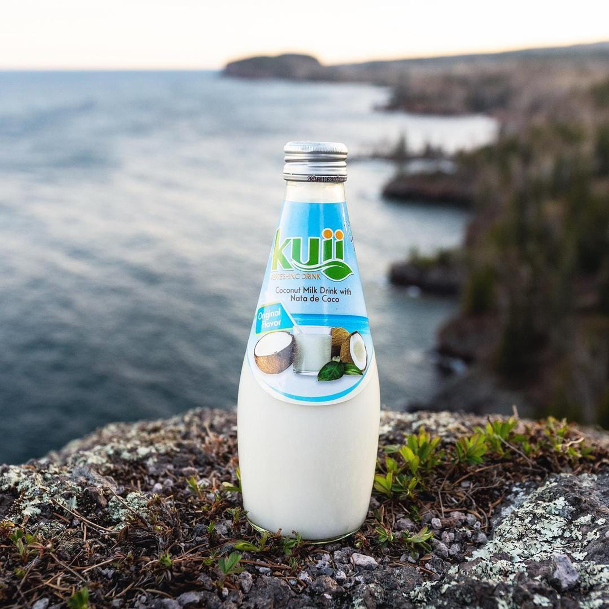 (4 pack) Kuii Drinks Coconut Milk with Nata de Coco, Original, 290mL thumbnail 3