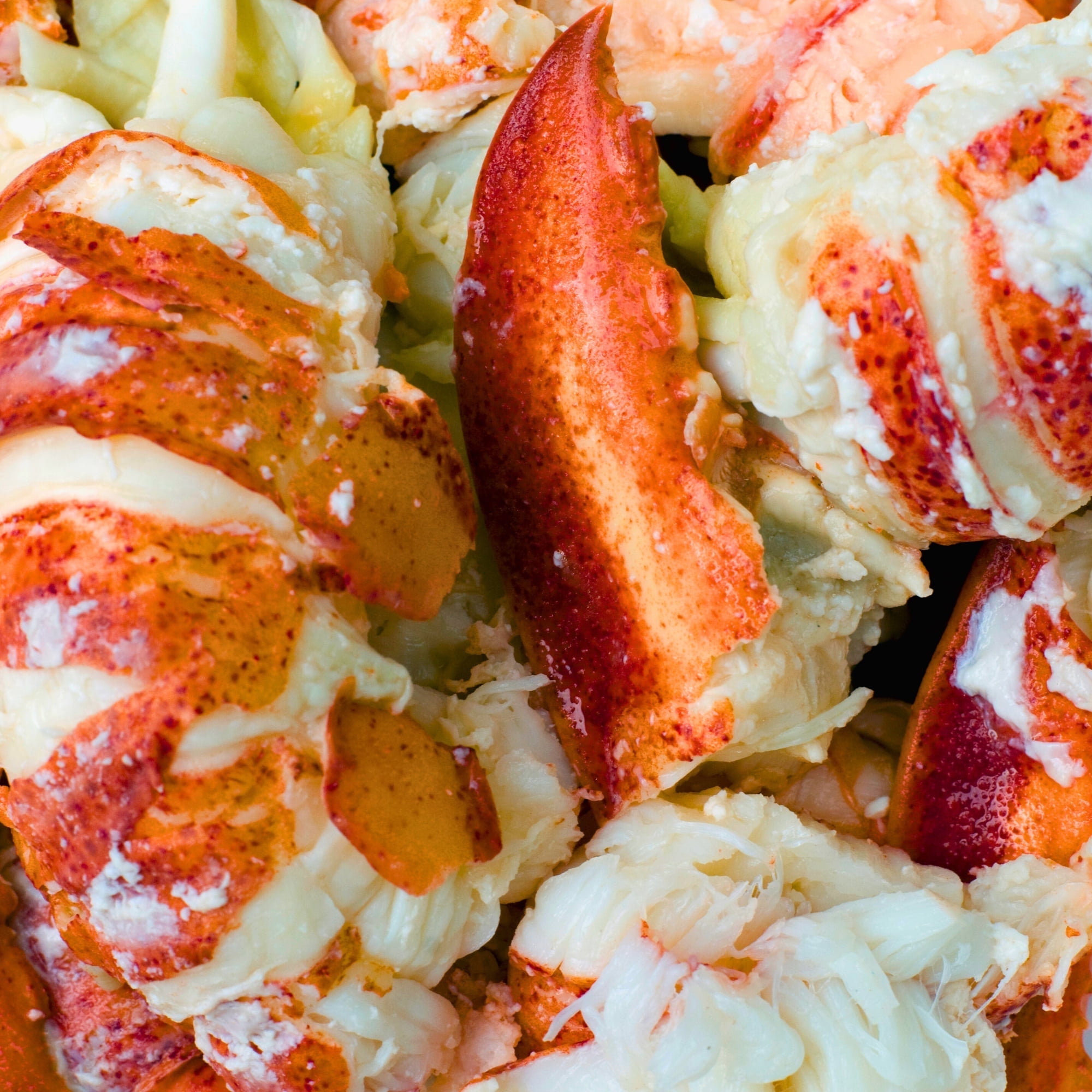 Today Gourmet Lobster Meat - Knuckle, Leg and Claw (2lbs.)