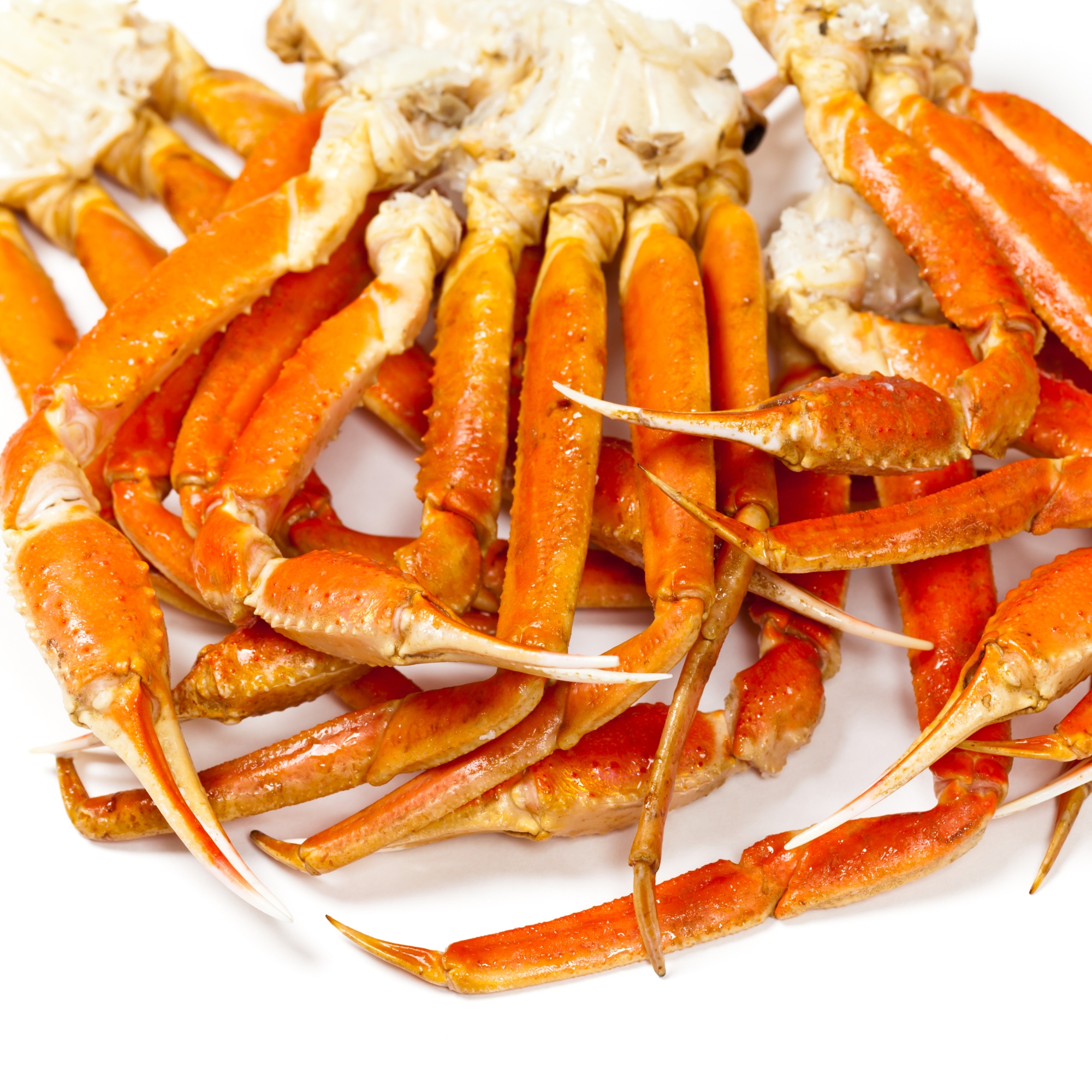 Today Gourmet - Snow Crab Legs- 5oz-8oz Clusters (5lbs) thumbnail 3