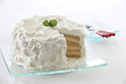 Rich's Non Dairy Whip Topping Base, 30 Pound Pail -- 1 each