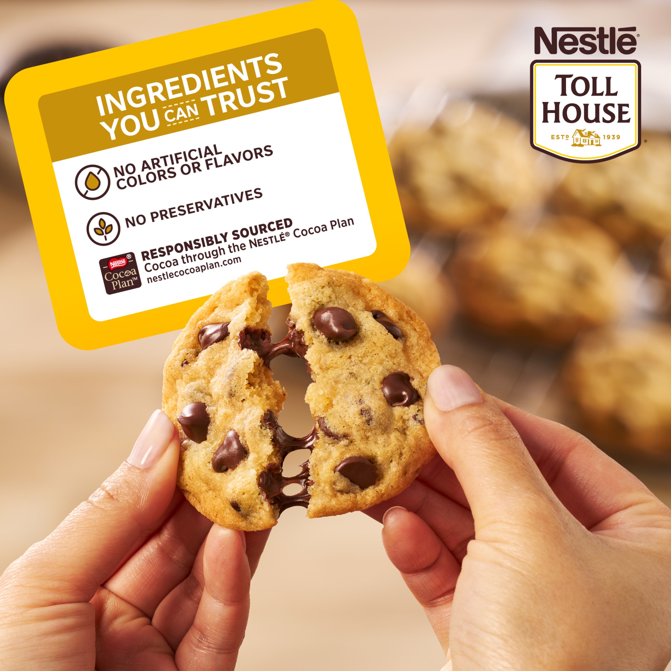 Nestle Toll House Chocolate Chip Cookie Dough, Makes 24 Cookies, 16.5 oz thumbnail 4