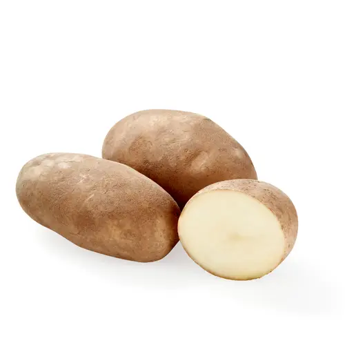 Fresh Idaho Russet Potatoes, 5 lb Bag thumbnail 3