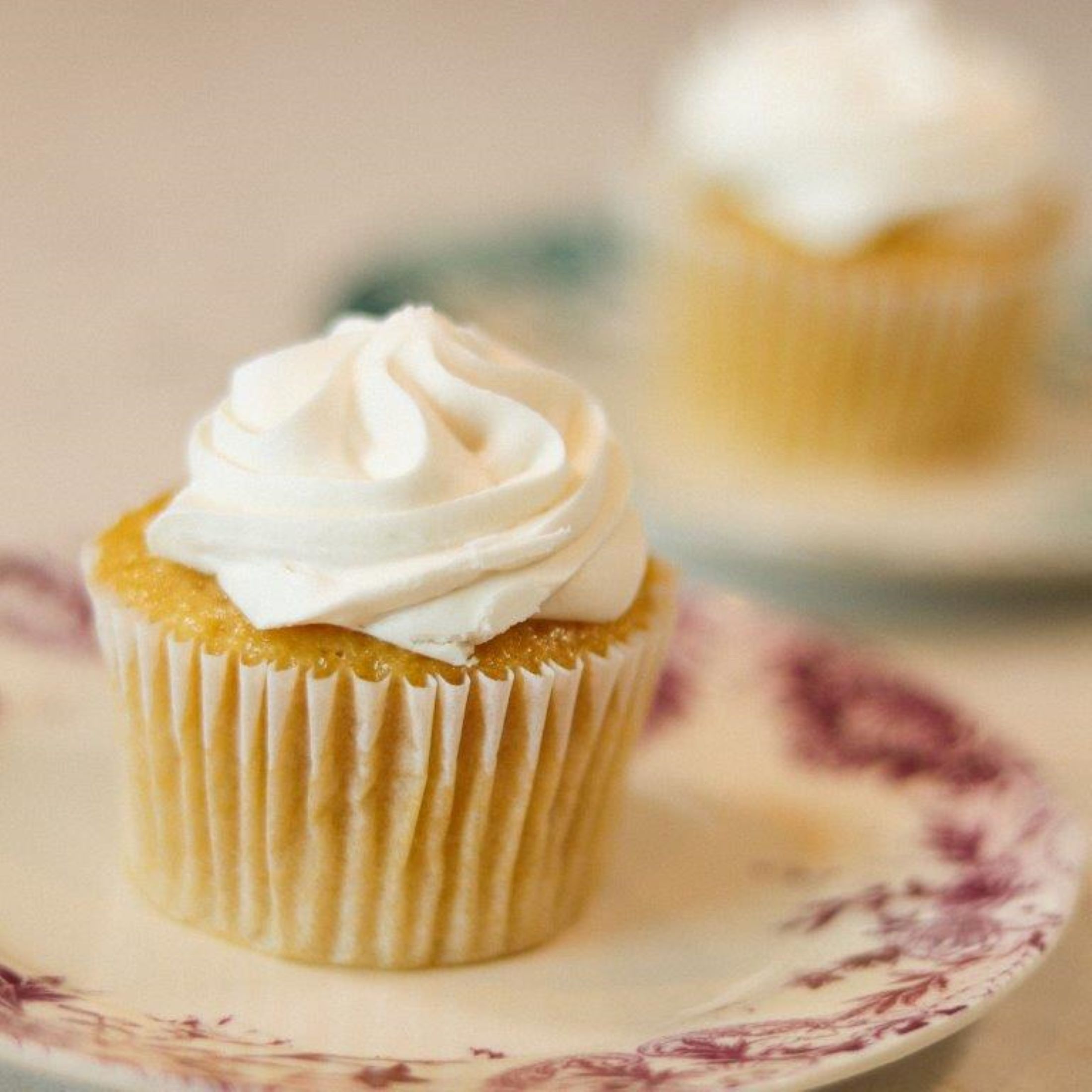 Rubicon Bakers Vegan Vanilla Dream Cupcakes 2 count thumbnail 3