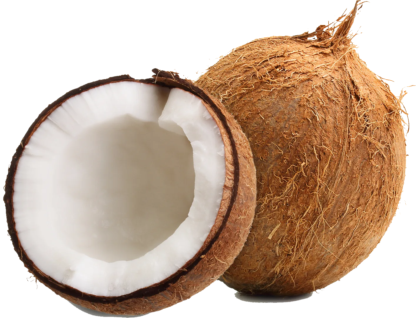 Fresh Coconut, Each, 1 Count