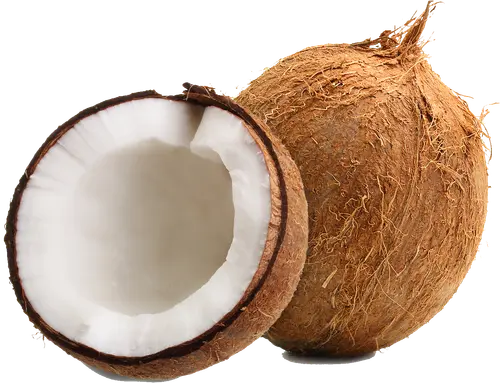 Fresh Coconut, Each, 1 Count