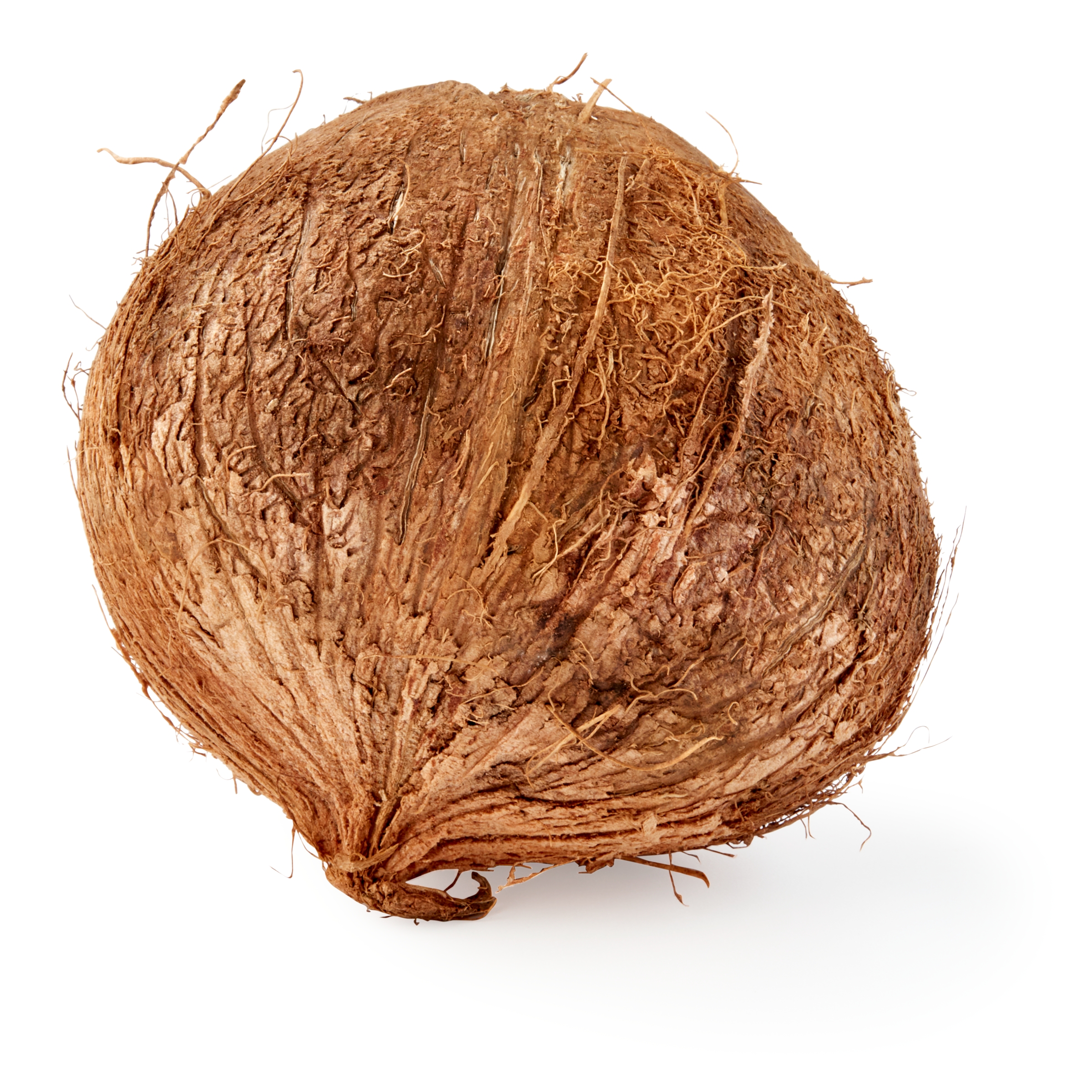 Fresh Coconut, Each, 1 Count thumbnail 3