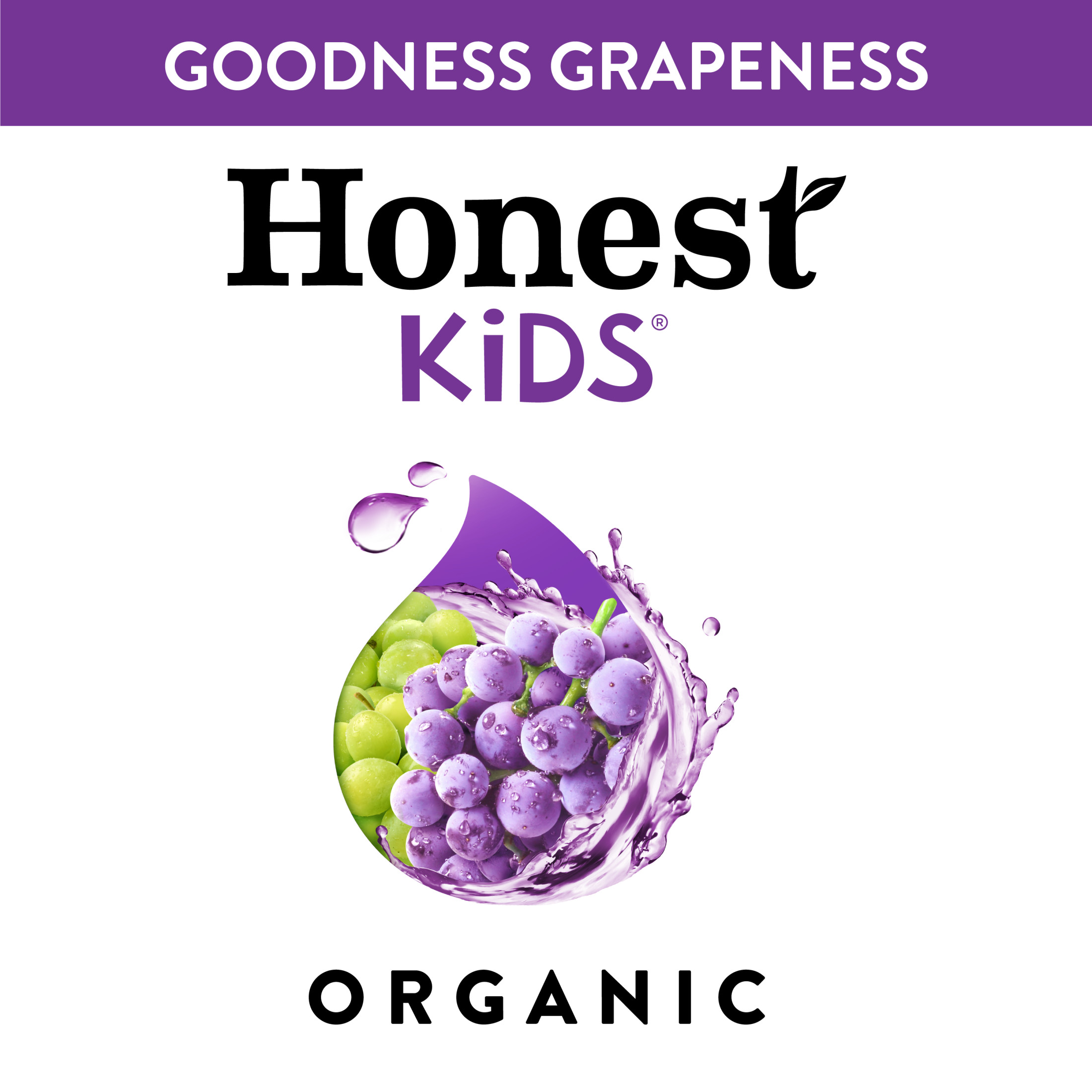 Honest Kids Organic Goodness Grapeness Grape Fruit Juice, 6.75 fl oz, 8 Pouches thumbnail 4