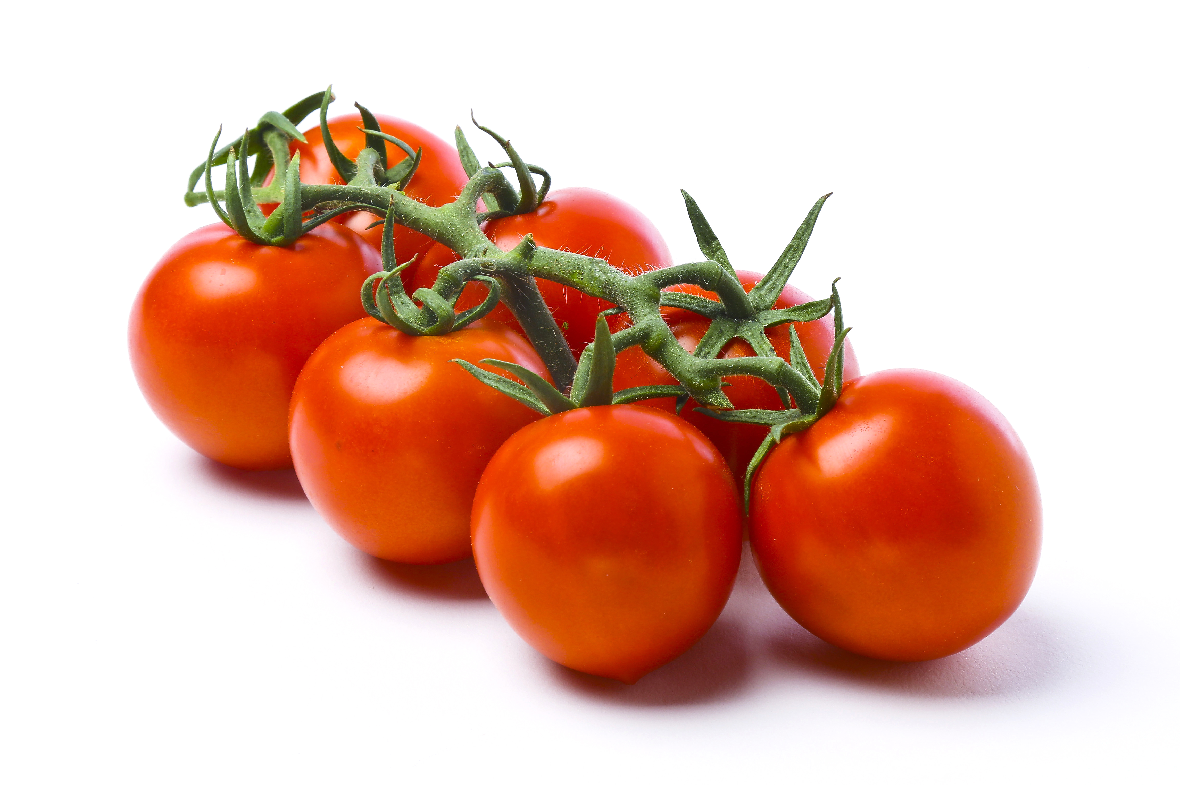 Fresh Cocktail Tomato, 1 lb Package thumbnail 4
