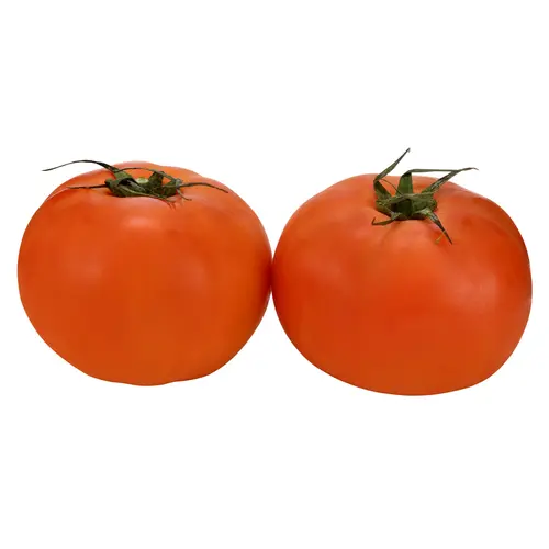 Fresh Slicing Tomato, 2 Pack thumbnail 4